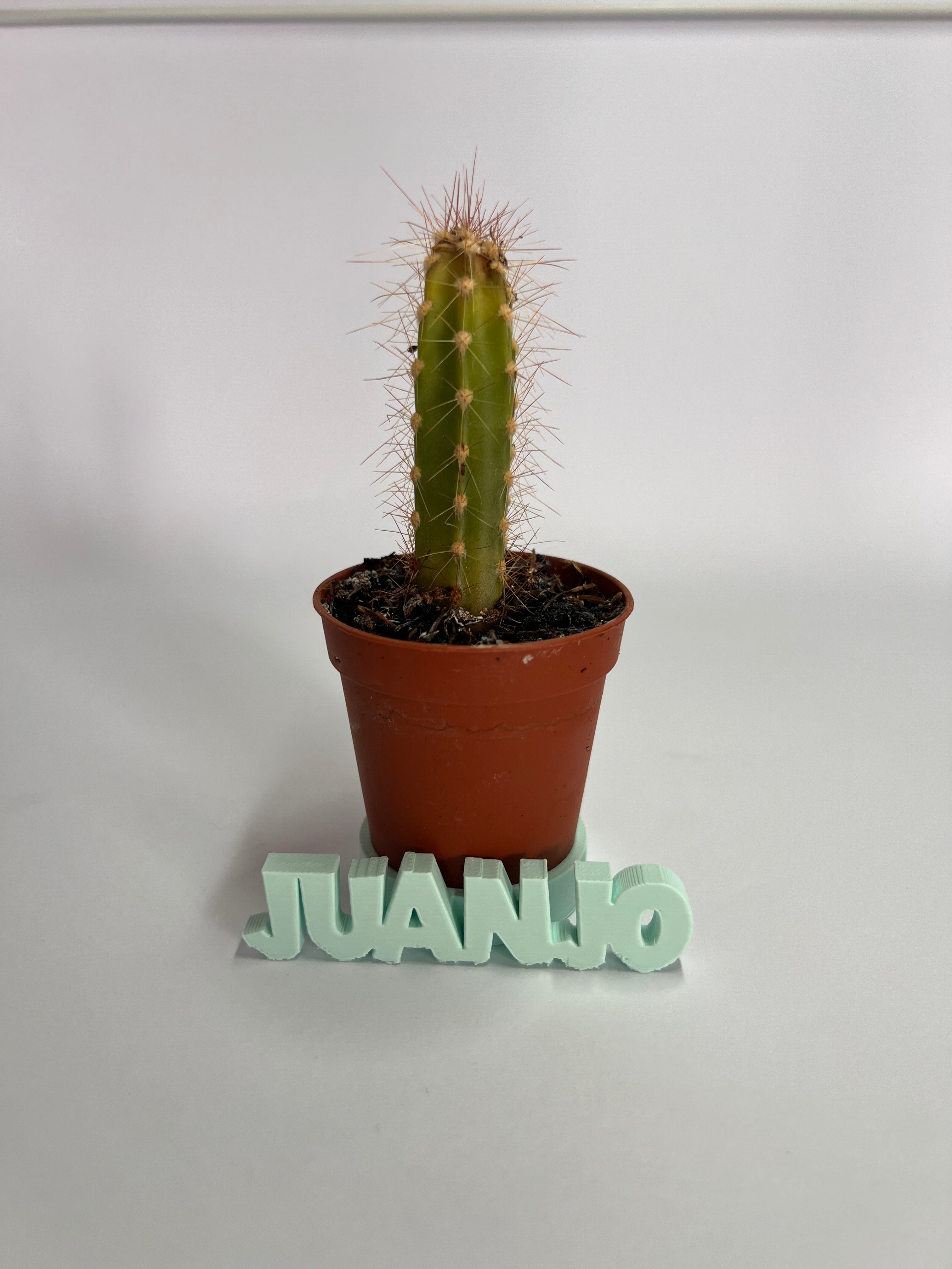 Posacactus personalizados