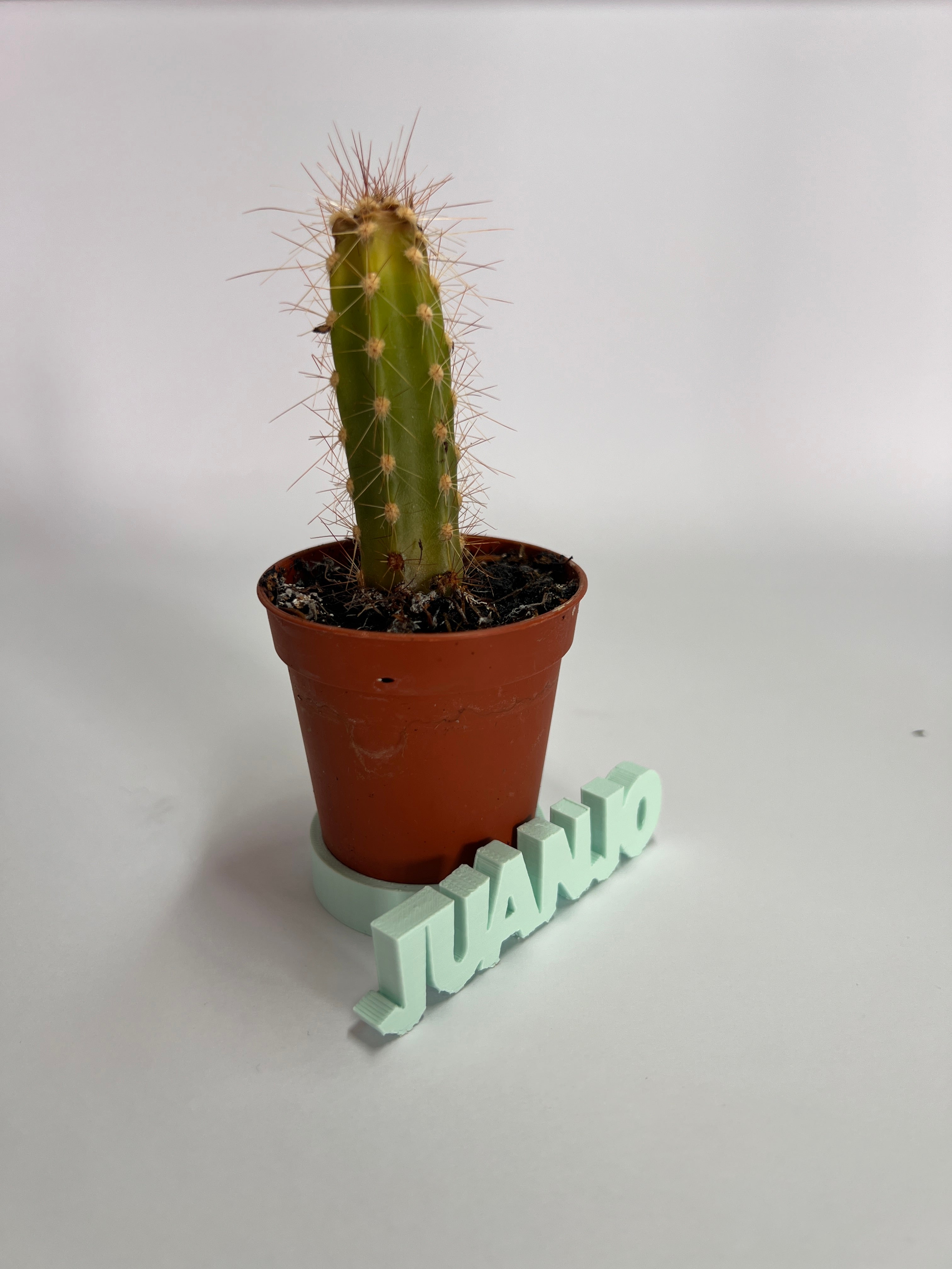 Posacactus personalizados