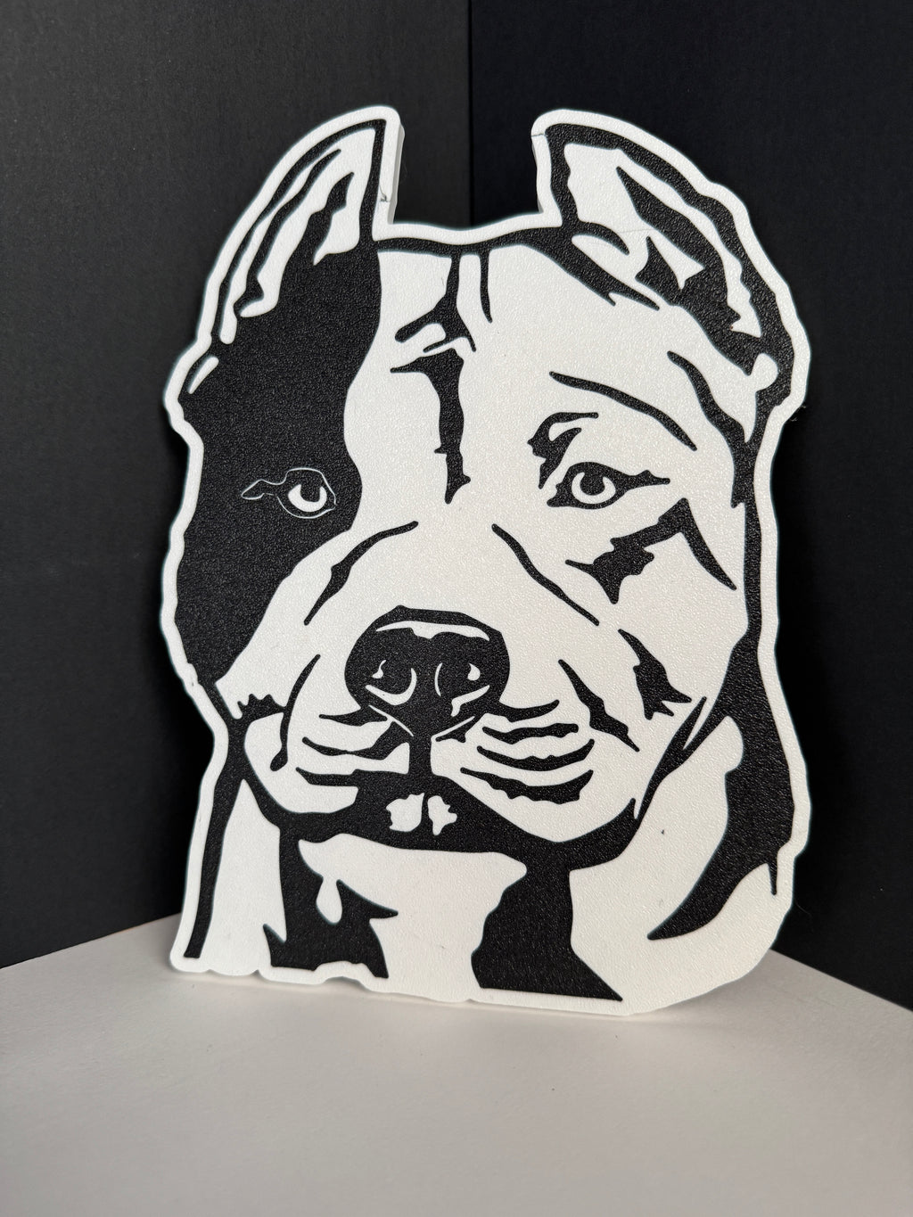 Placas de Mascotas personalizadas