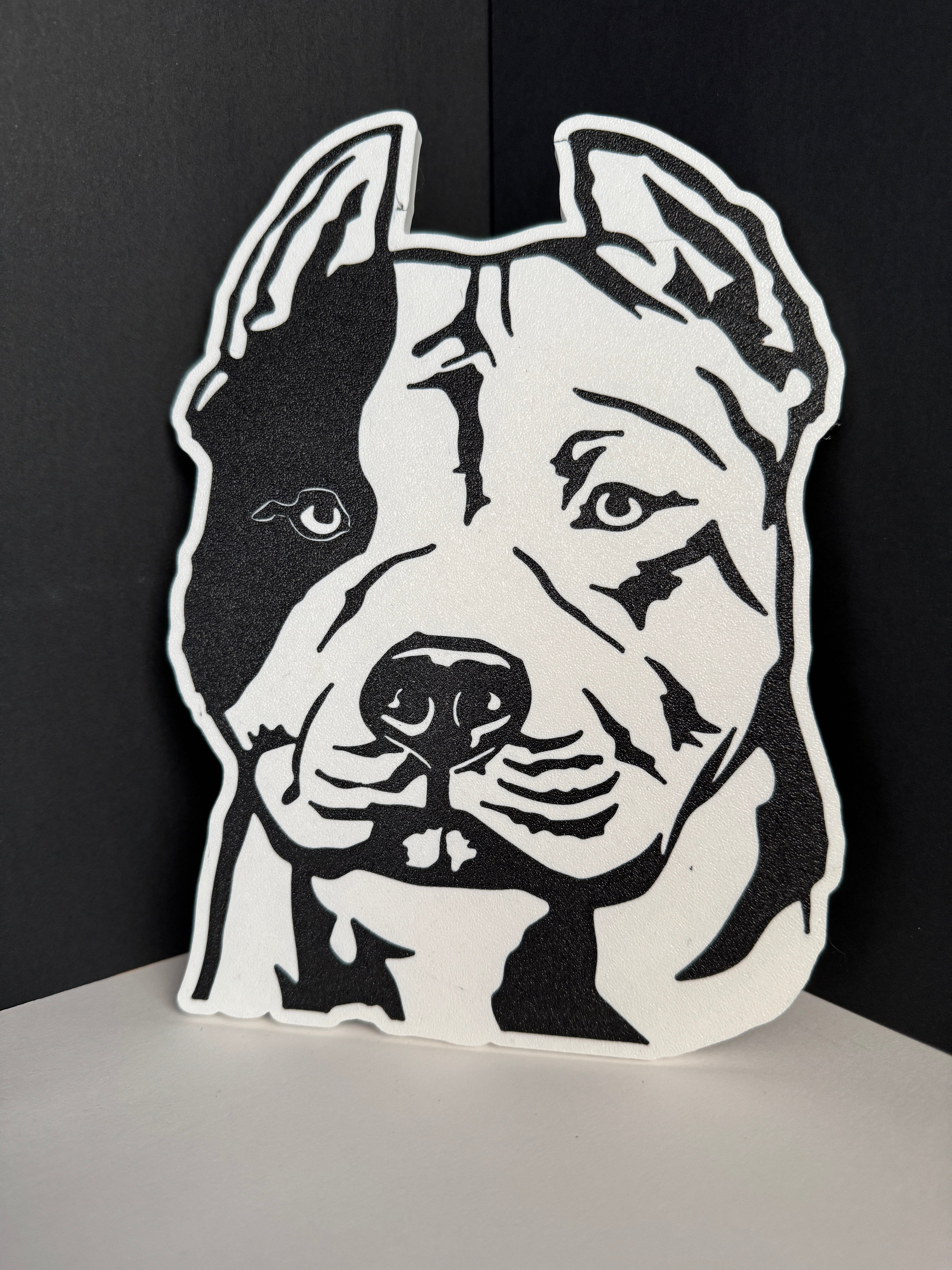 Placas de Mascotas personalizadas