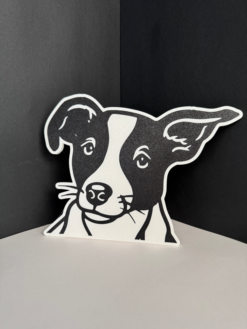 Placas de Mascotas personalizadas