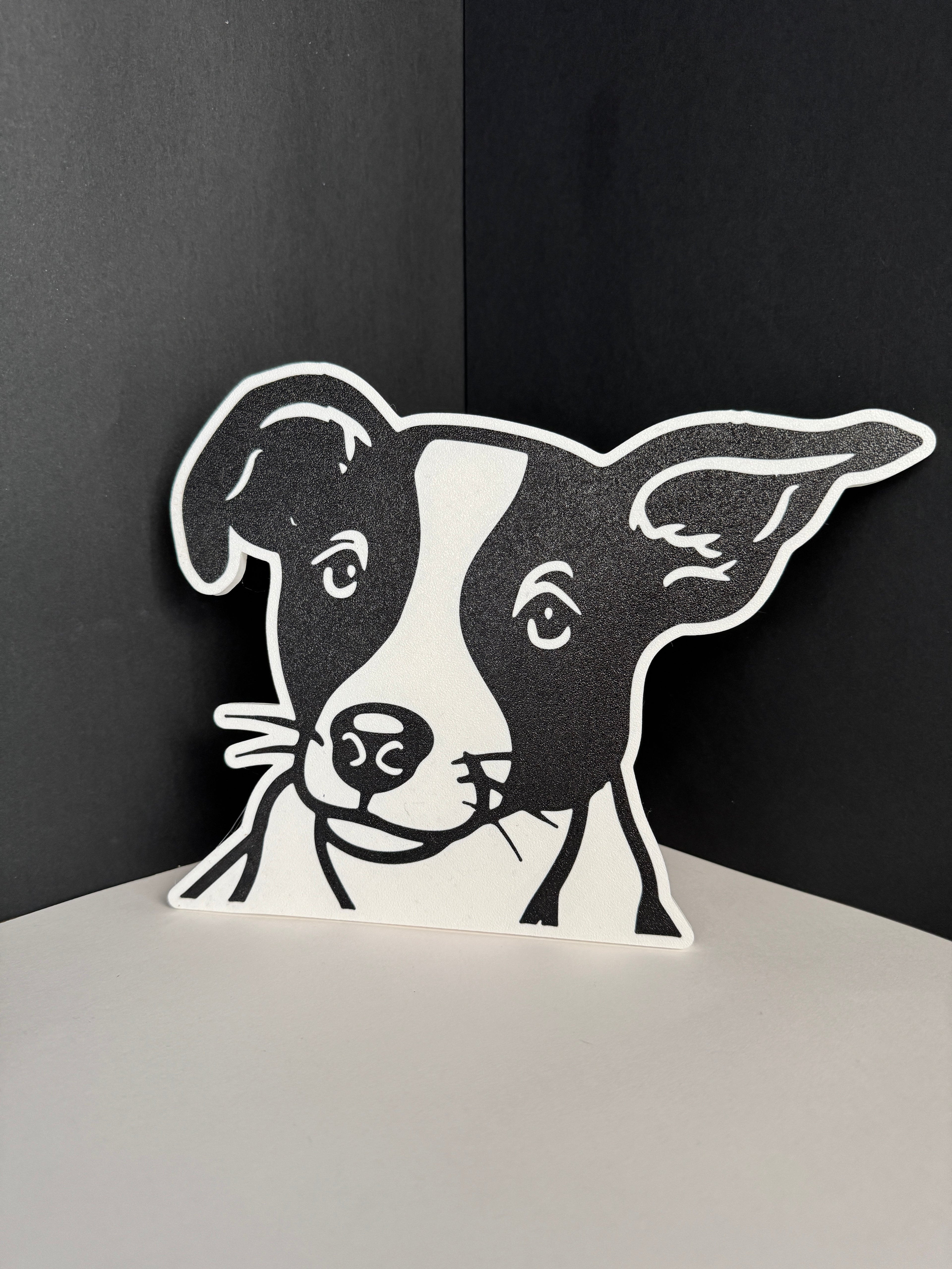 Placas de Mascotas personalizadas