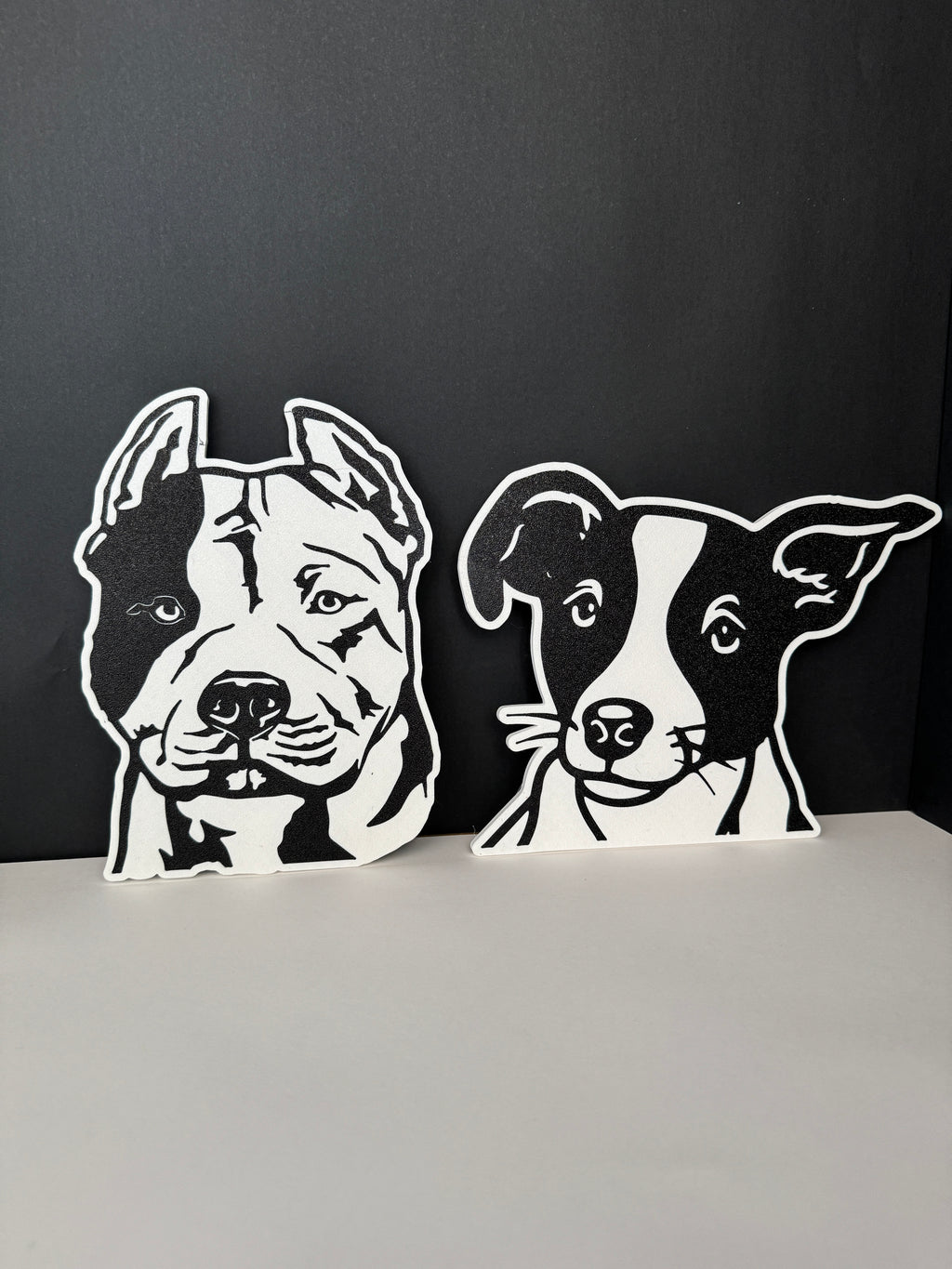 Placas de Mascotas personalizadas