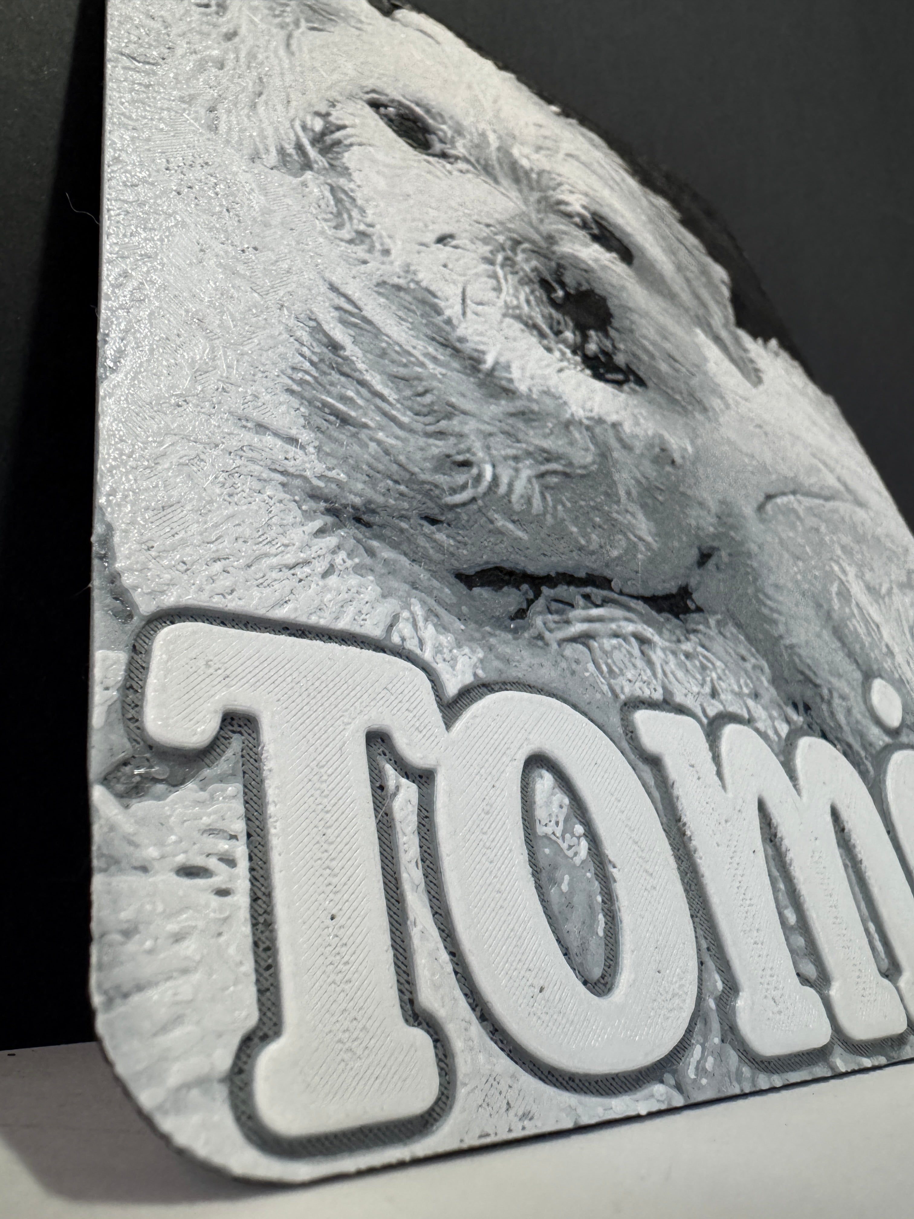 Retrato en relive mascostas personalizado