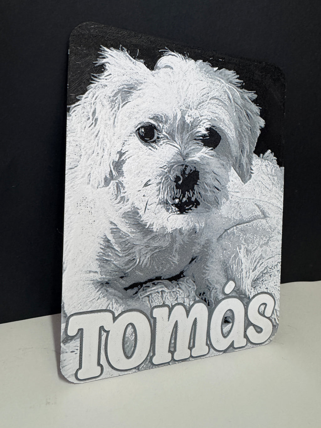 Retrato en relive mascostas personalizado