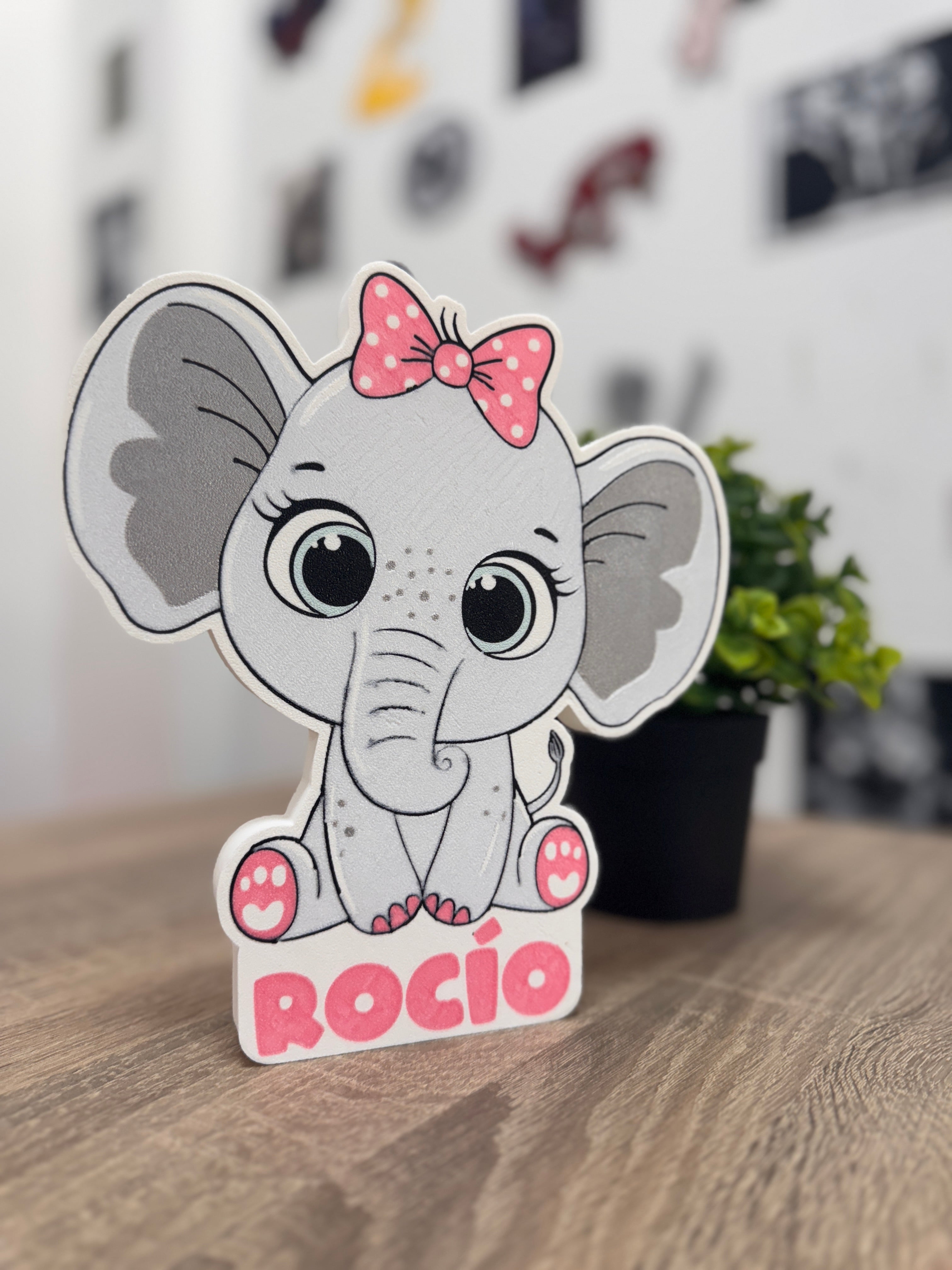 Placas Personalizadas